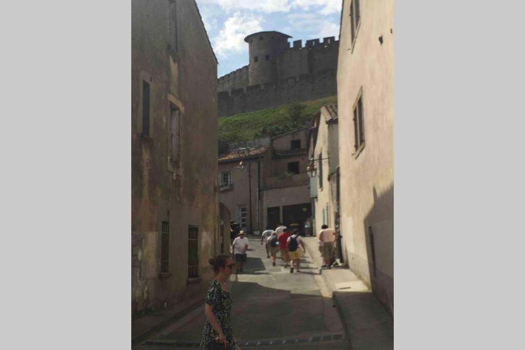 Maison Rue Trivalle Carcassonne Dış mekan fotoğraf